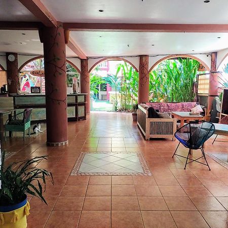 Cool Vibes Beach Hostel โดมินิกัล ภายนอก รูปภาพ