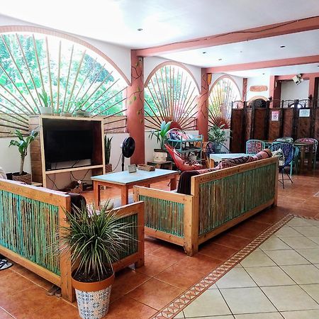 Cool Vibes Beach Hostel โดมินิกัล ภายนอก รูปภาพ
