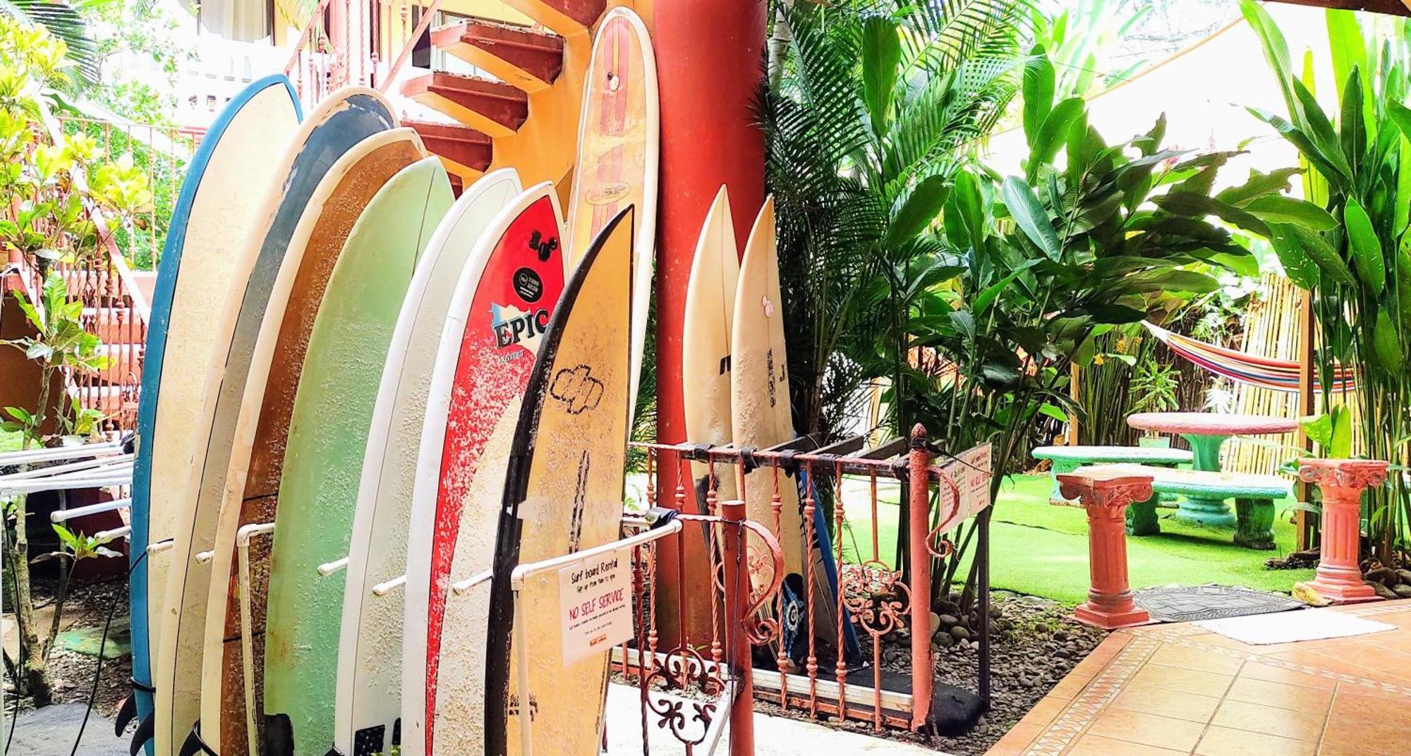 Cool Vibes Beach Hostel โดมินิกัล ภายนอก รูปภาพ