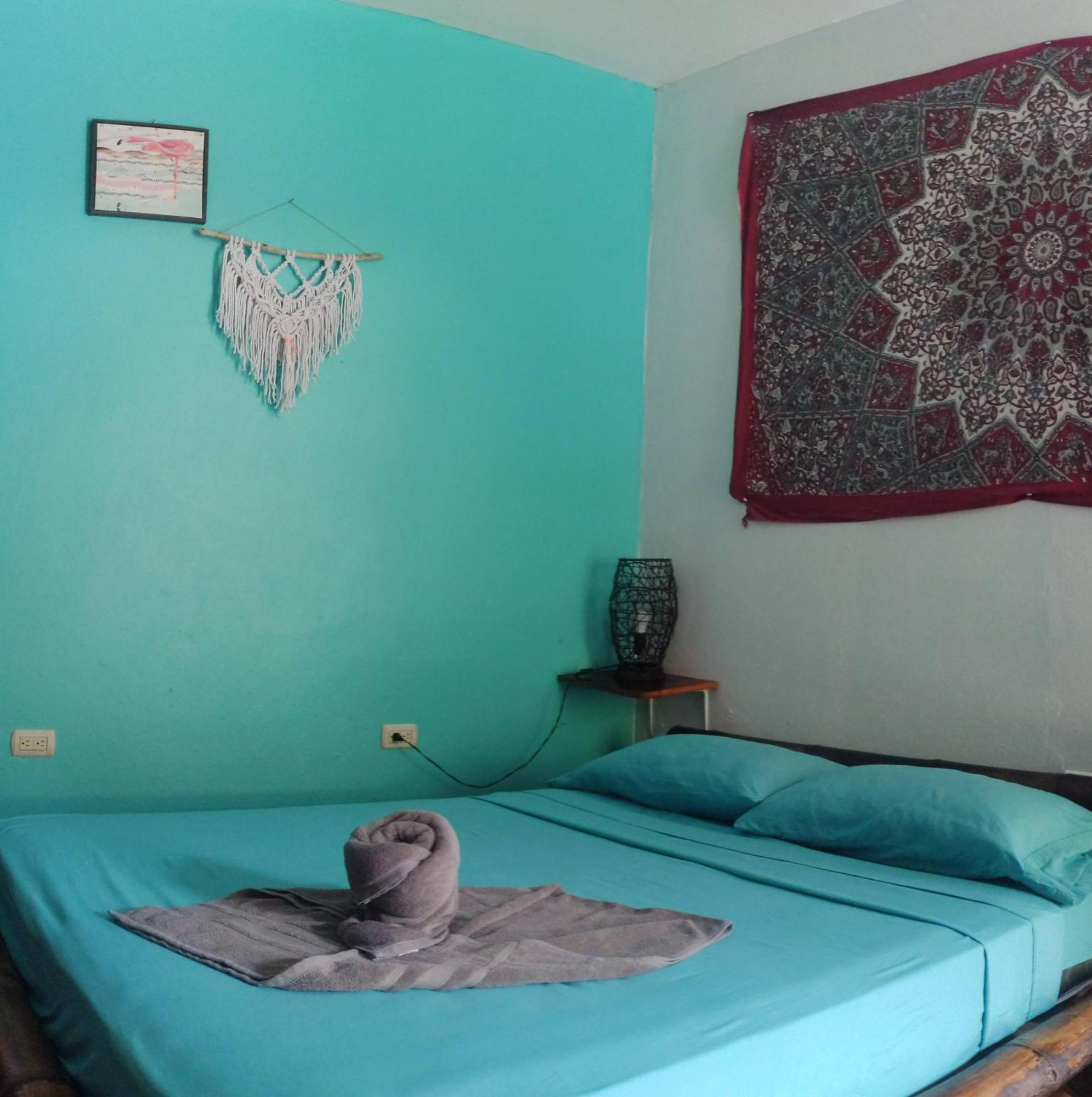 Cool Vibes Beach Hostel โดมินิกัล ภายนอก รูปภาพ
