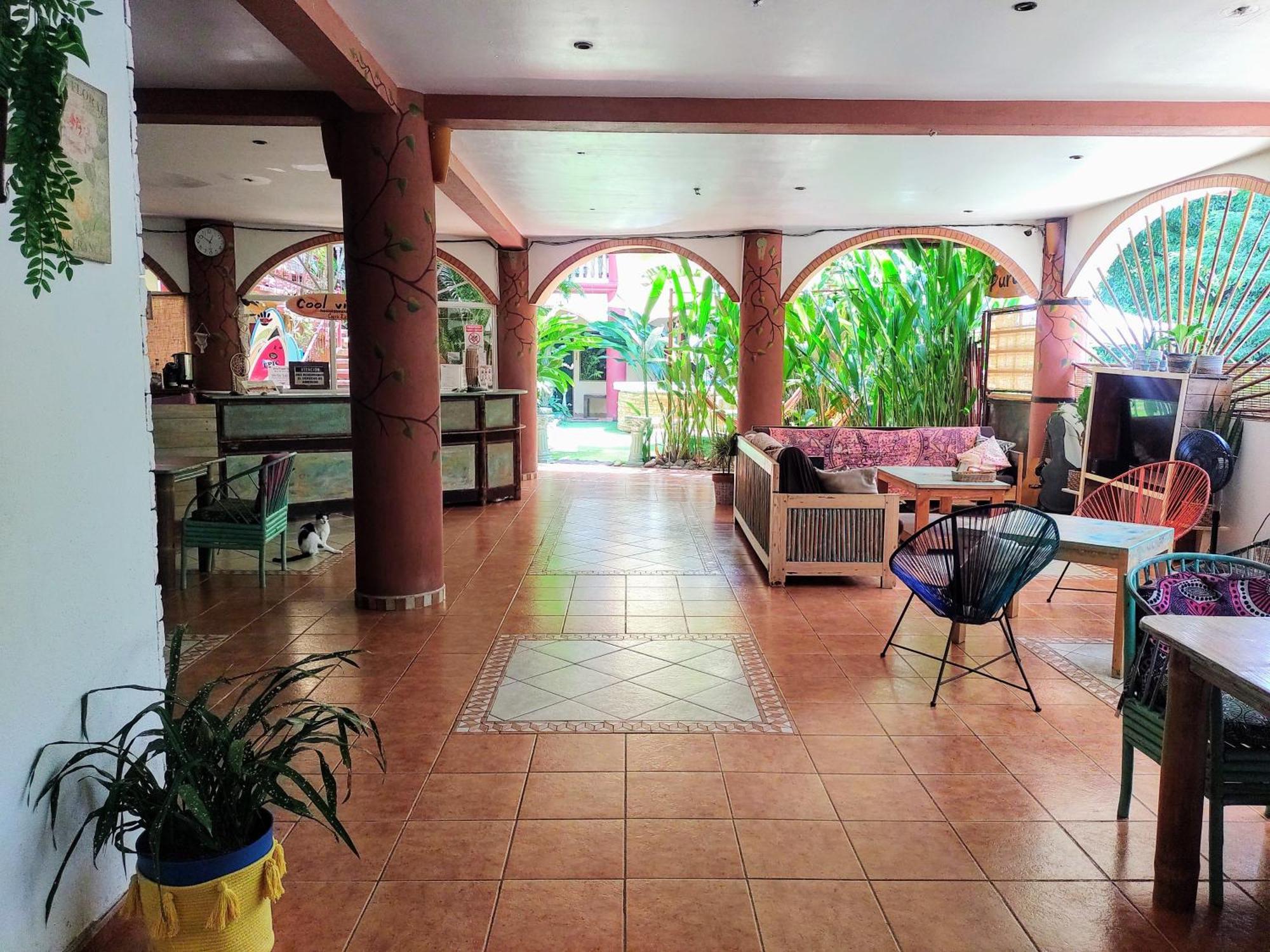 Cool Vibes Beach Hostel โดมินิกัล ภายนอก รูปภาพ